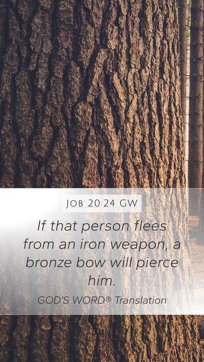 Job 20:24 GW Bible Verse Image