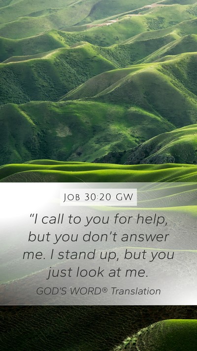 Job 30:20 GW Bible Verse Image