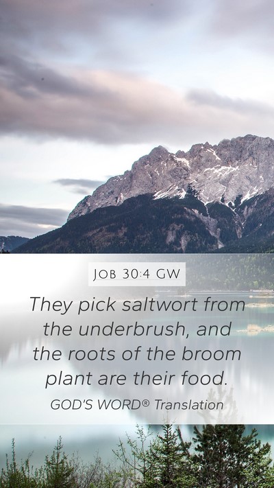 Job 30:4 GW Mobile Phone Wallpaper - They pick saltwort from the underbrush, and the - Mobile Bible Verse Wallpaper