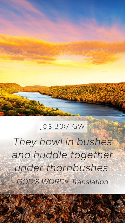 Job 30:7 GW Bible Verse Image
