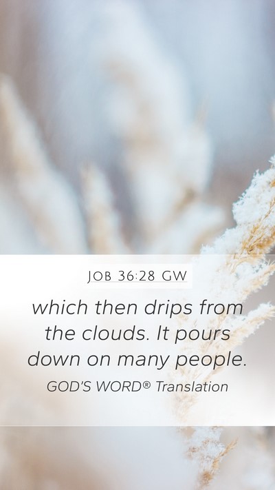 Job 36:28 GW Mobile Phone Wallpaper - which then drips from the clouds. It pours down - Mobile Bible Verse Wallpaper
