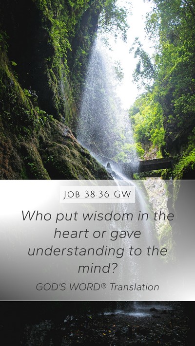Job 38:36 GW Bible Verse Image