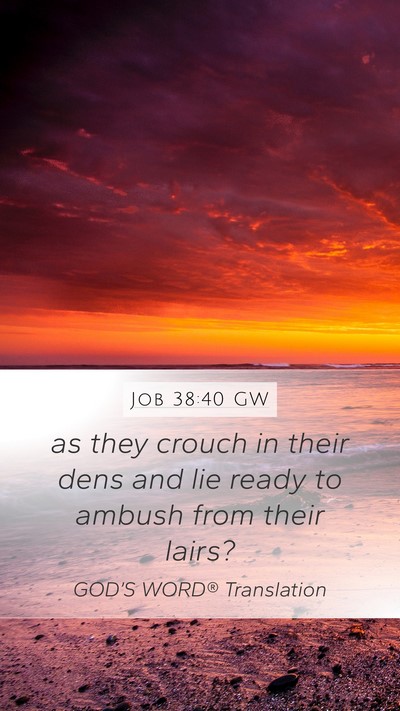 Job 38:40 GW Mobile Phone Wallpaper - as they crouch in their dens and lie ready to - Mobile Bible Verse Wallpaper