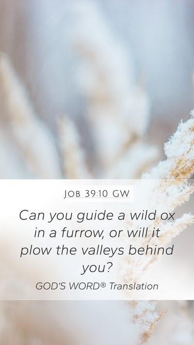Job 39:10 GW Mobile Phone Wallpaper - Can you guide a wild ox in a furrow, or will it - Mobile Bible Verse Wallpaper