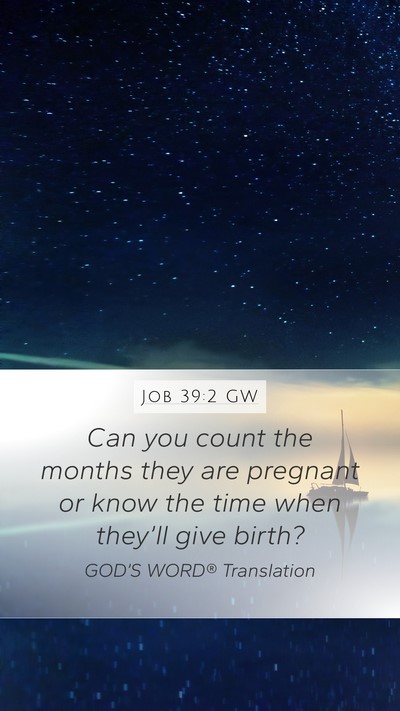 Job 39:2 GW Mobile Phone Wallpaper - Can you count the months they are pregnant or - Mobile Bible Verse Wallpaper