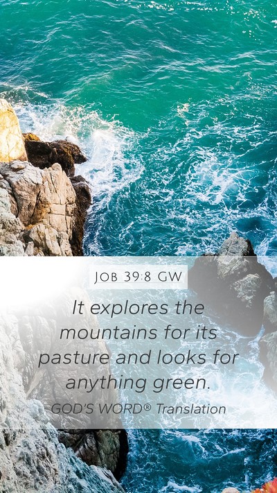 Job 39:8 GW Bible Verse Image