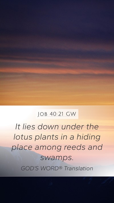 Job 40:21 GW Bible Verse Image