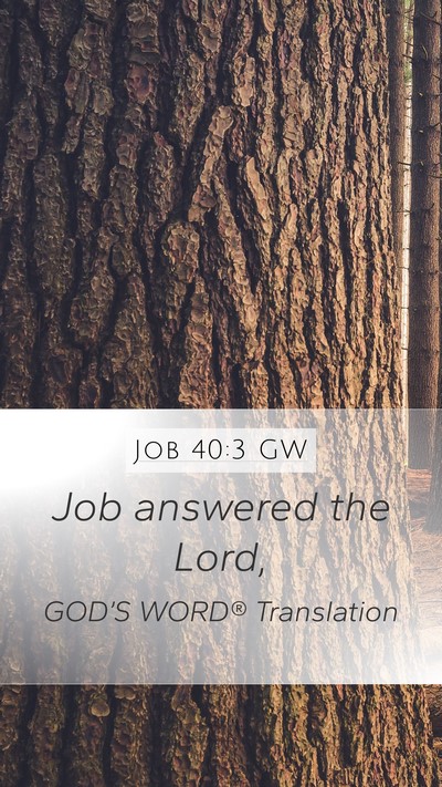 Job 40:3 GW Mobile Phone Wallpaper - Job answered the - Mobile Bible Verse Wallpaper