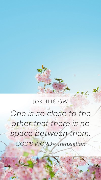 Job 41:16 GW Mobile Phone Wallpaper - One is so close to the other that there is no - Mobile Bible Verse Wallpaper