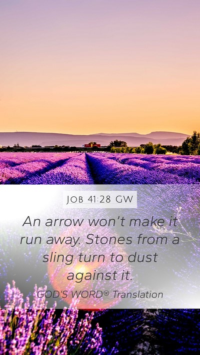 Job 41:28 GW Bible Verse Image