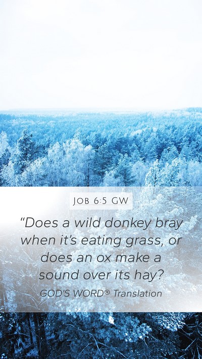Job 6:5 GW Bible Verse Image