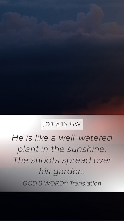 Job 8:16 GW Bible Verse Image