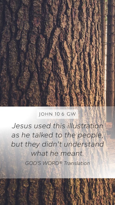 John 10:6 GW Bible Verse Image