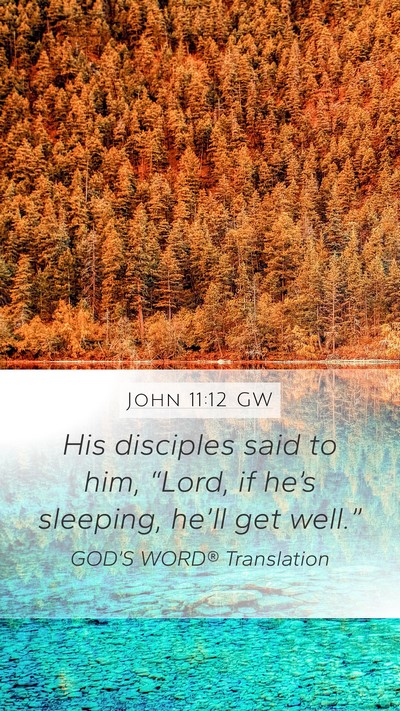 John 11:12 GW Mobile Phone Wallpaper - His disciples said to him, “Lord, if he’s - Mobile Bible Verse Wallpaper