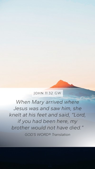 John 11:32 GW Bible Verse Image