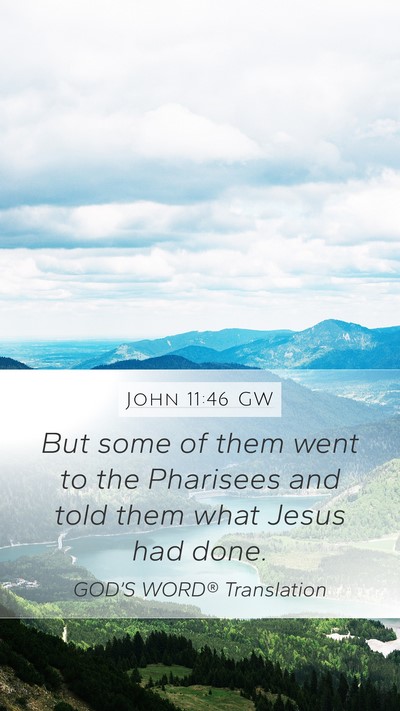 John 11:46 GW Bible Verse Image