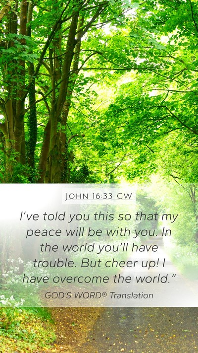 John 16:33 GW Bible Verse Image