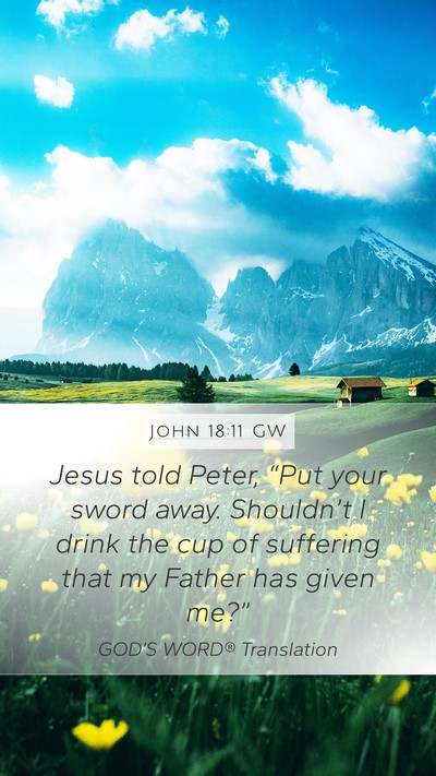 John 18:11 GW Bible Verse Image