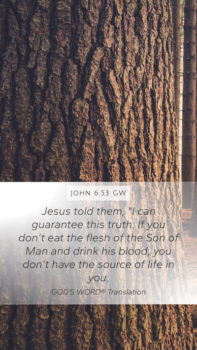 John 6:53 GW Mobile Phone Wallpaper - Jesus told them, “I can guarantee this truth: - Mobile Bible Verse Wallpaper