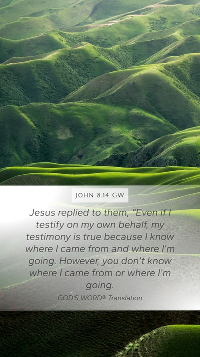 John 8:14 GW Bible Verse Image