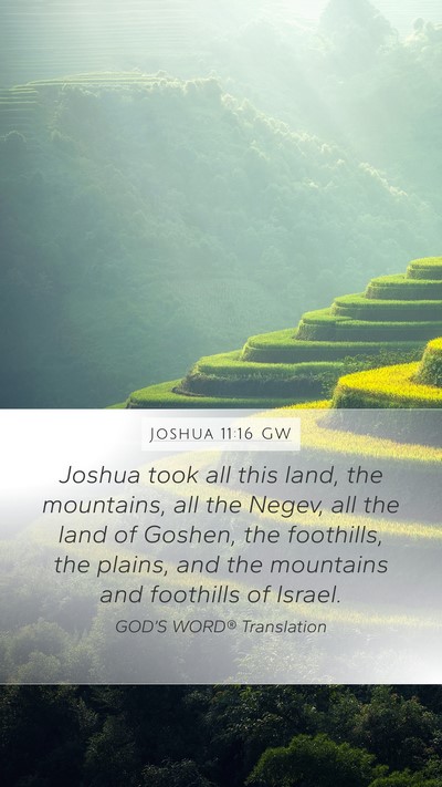 Joshua 11:16 GW Bible Verse Image