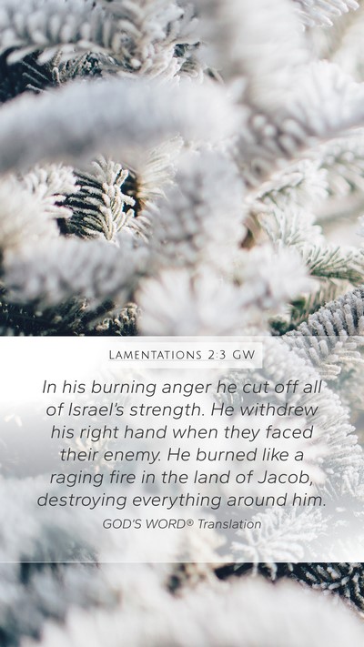 Lamentations 2:3 GW Bible Verse Image
