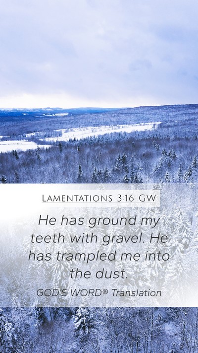 Lamentations 3:16 GW Mobile Phone Wallpaper - He has ground my teeth with gravel. He has - Mobile Bible Verse Wallpaper