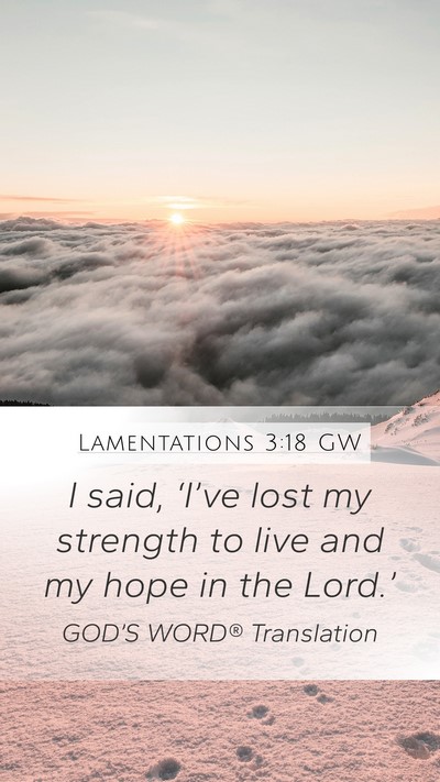 Lamentations 3:18 GW Mobile Phone Wallpaper - I said, ‘I’ve lost my strength to live and my - Mobile Bible Verse Wallpaper