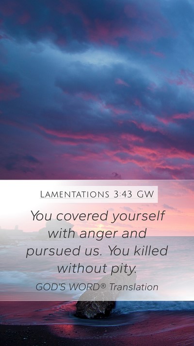 Lamentations 3:43 GW Bible Verse Image