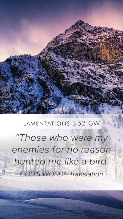 Lamentations 3:52 GW Bible Verse Image