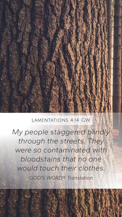 Lamentations 4:14 GW Mobile Phone Wallpaper - My people staggered blindly through the streets. - Mobile Bible Verse Wallpaper