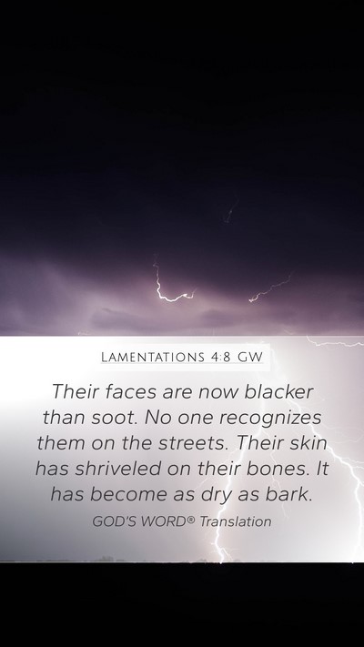 Lamentations 4:8 GW Bible Verse Image