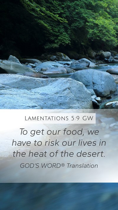 Lamentations 5:9 GW Bible Verse Image