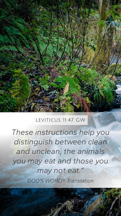 Leviticus 11:47 GW Bible Verse Image