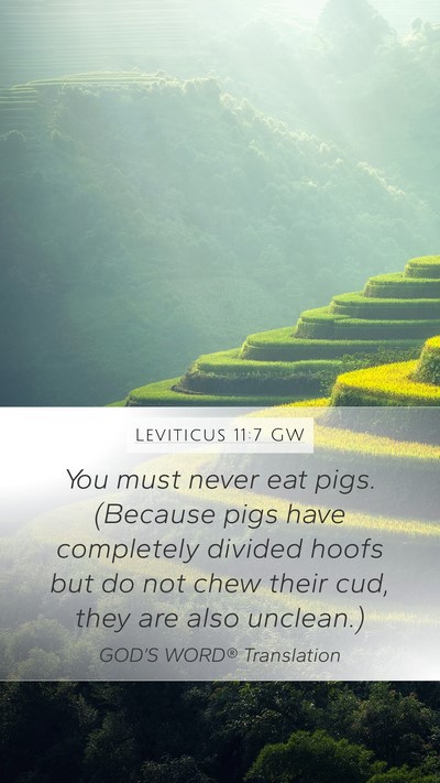 Leviticus 11:7 GW Bible Verse Image
