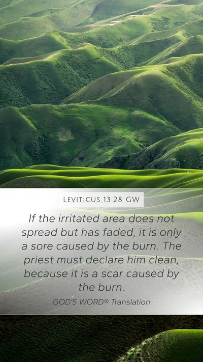 Leviticus 13:28 GW Mobile Phone Wallpaper - If the irritated area does not spread but has - Mobile Bible Verse Wallpaper