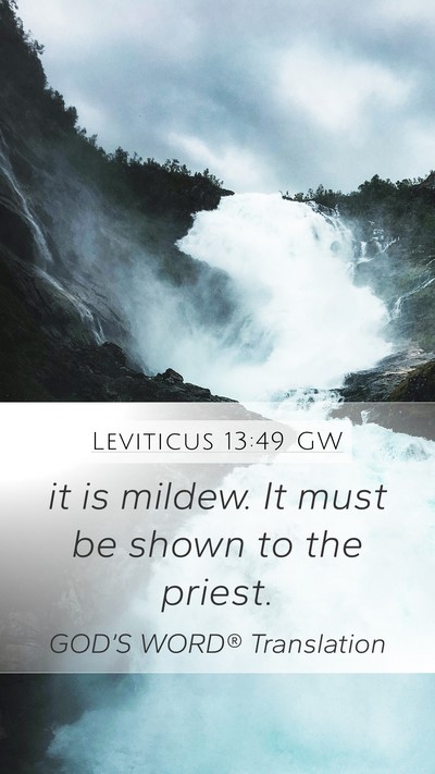 Leviticus 13:49 GW Mobile Phone Wallpaper - it is mildew. It must be shown to the - Mobile Bible Verse Wallpaper