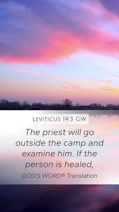 Leviticus 14:3 GW Bible Verse Image