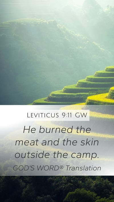 Leviticus 9:11 GW Mobile Phone Wallpaper - He burned the meat and the skin outside the - Mobile Bible Verse Wallpaper