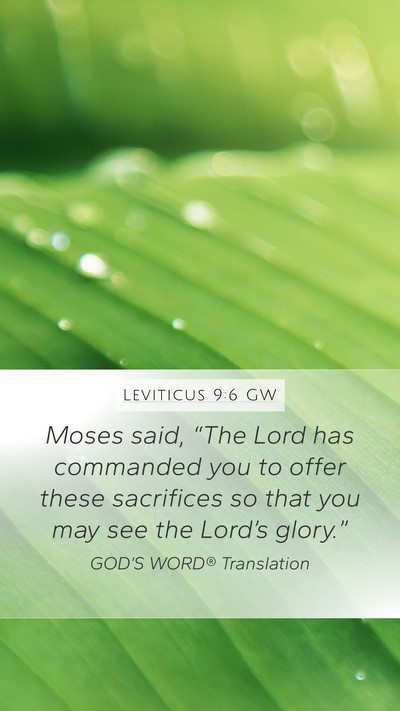 Leviticus 9:6 GW Bible Verse Image