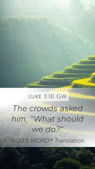 Luke 3:10 GW Mobile Phone Wallpaper - The crowds asked him, “What should we - Mobile Bible Verse Wallpaper