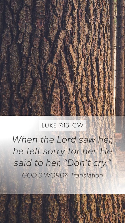 Luke 7:13 GW Bible Verse Image