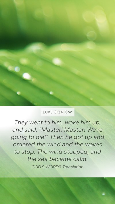 Luke 8:24 GW Bible Verse Image
