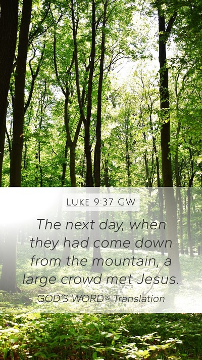 Luke 9:37 GW Bible Verse Image