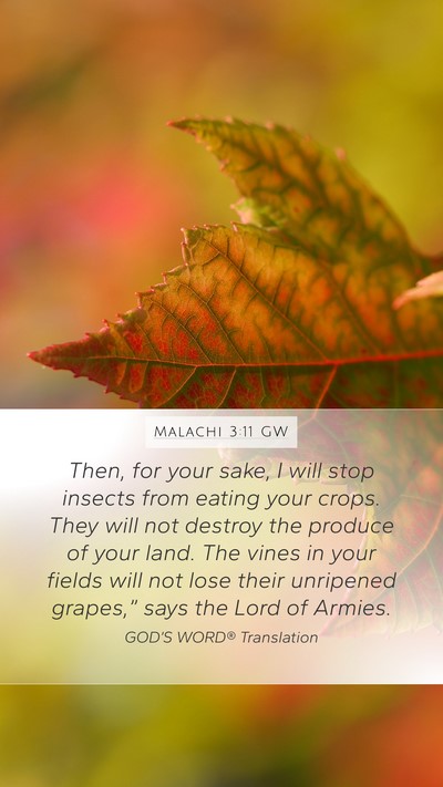 Malachi 3:11 GW Mobile Phone Wallpaper - Then, for your sake, I will stop insects from - Mobile Bible Verse Wallpaper