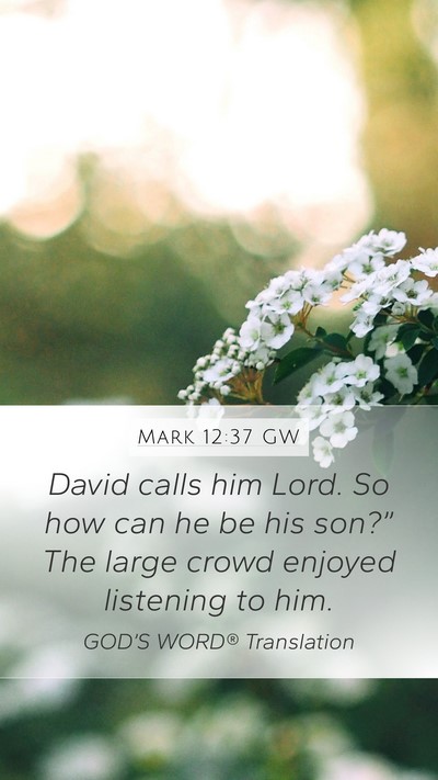 Mark 12:37 GW Mobile Phone Wallpaper - David calls him Lord. So how can he be his - Mobile Bible Verse Wallpaper