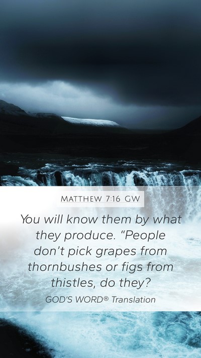 Matthew 7:16 GW Bible Verse Image