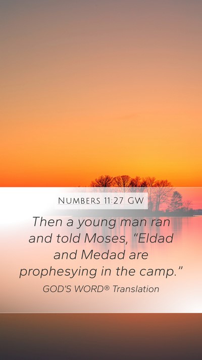 Numbers 11:27 GW Mobile Phone Wallpaper - Then a young man ran and told Moses, “Eldad and - Mobile Bible Verse Wallpaper