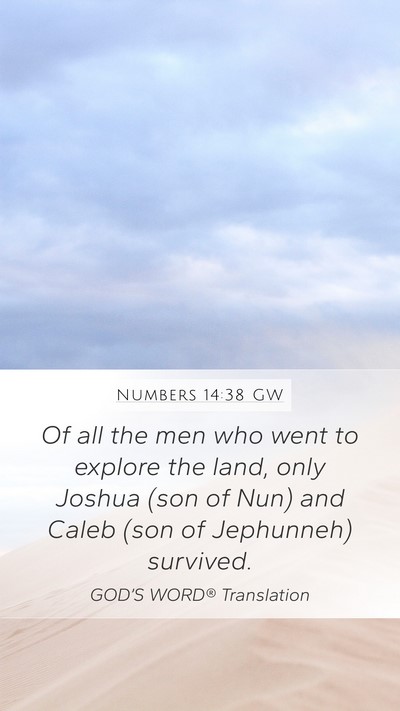 Numbers 14:38 GW Bible Verse Image