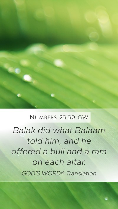 Numbers 23:30 GW Bible Verse Image